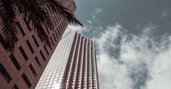 黄蜂加速器官网