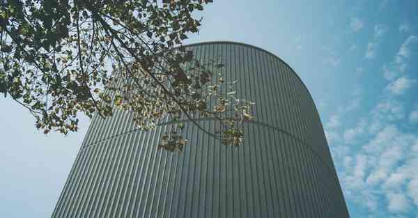 黄蜂加速器官网