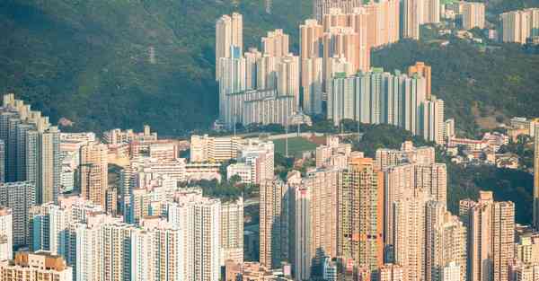 佛跳墙pn永久免费下载